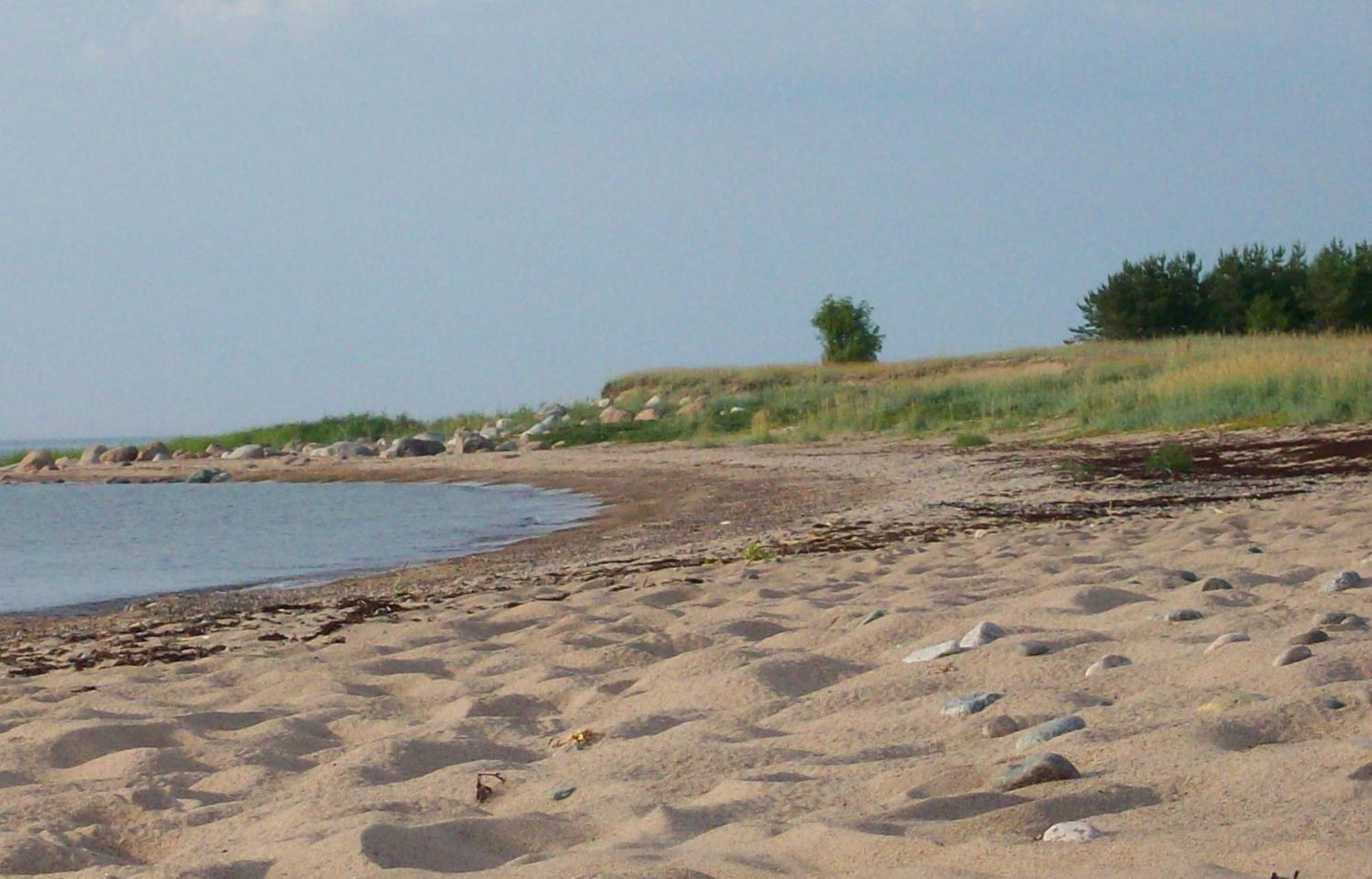 Kelluka Holiday House Pärispea Екстериор снимка