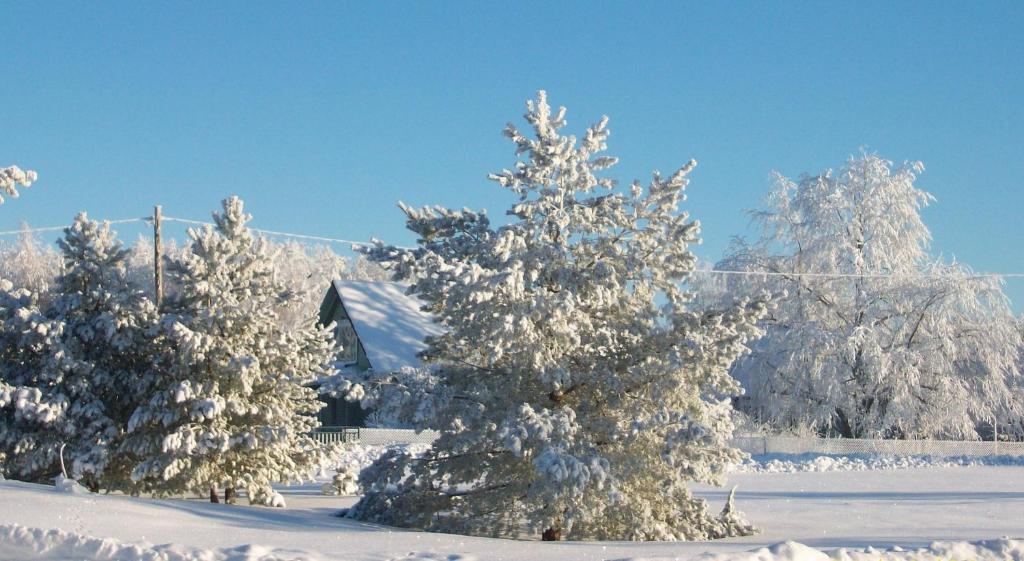 Kelluka Holiday House Pärispea Екстериор снимка