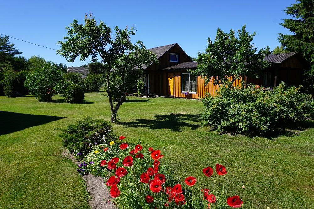 Kelluka Holiday House Pärispea Екстериор снимка