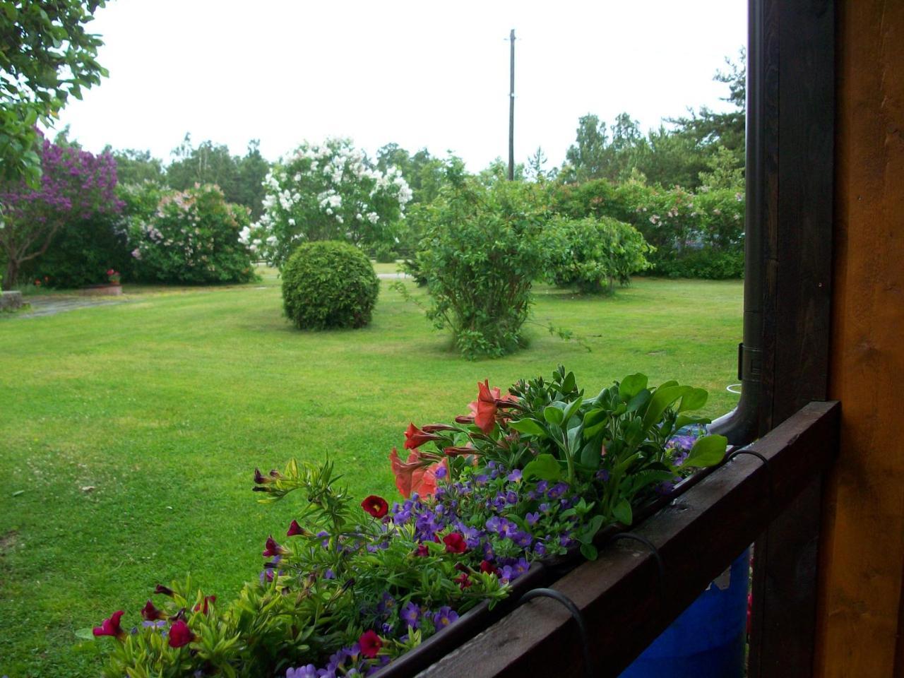 Kelluka Holiday House Pärispea Екстериор снимка